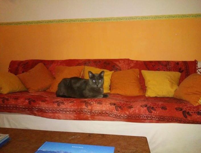 Hotel Villa Morgana Viareggio Zewnętrze zdjęcie